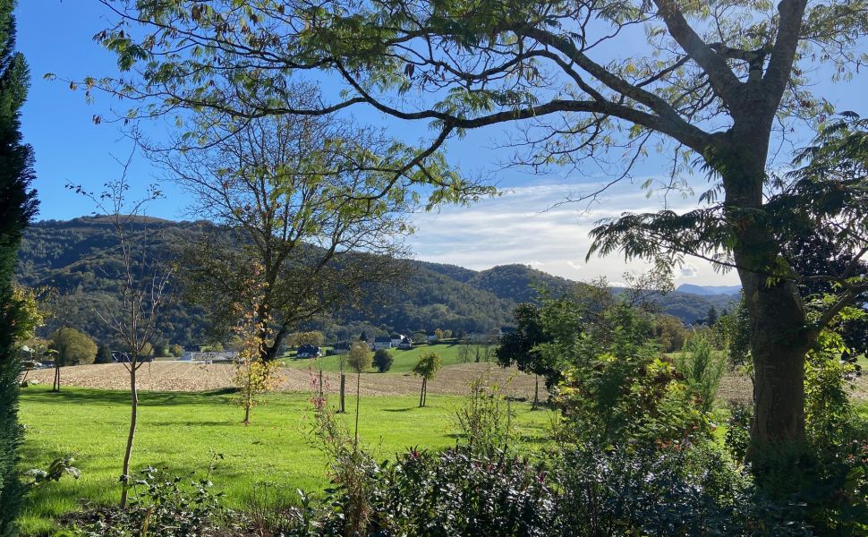 Belle Maison Souletine à la Lisière du village avec Vue Dégagé des Montagnes